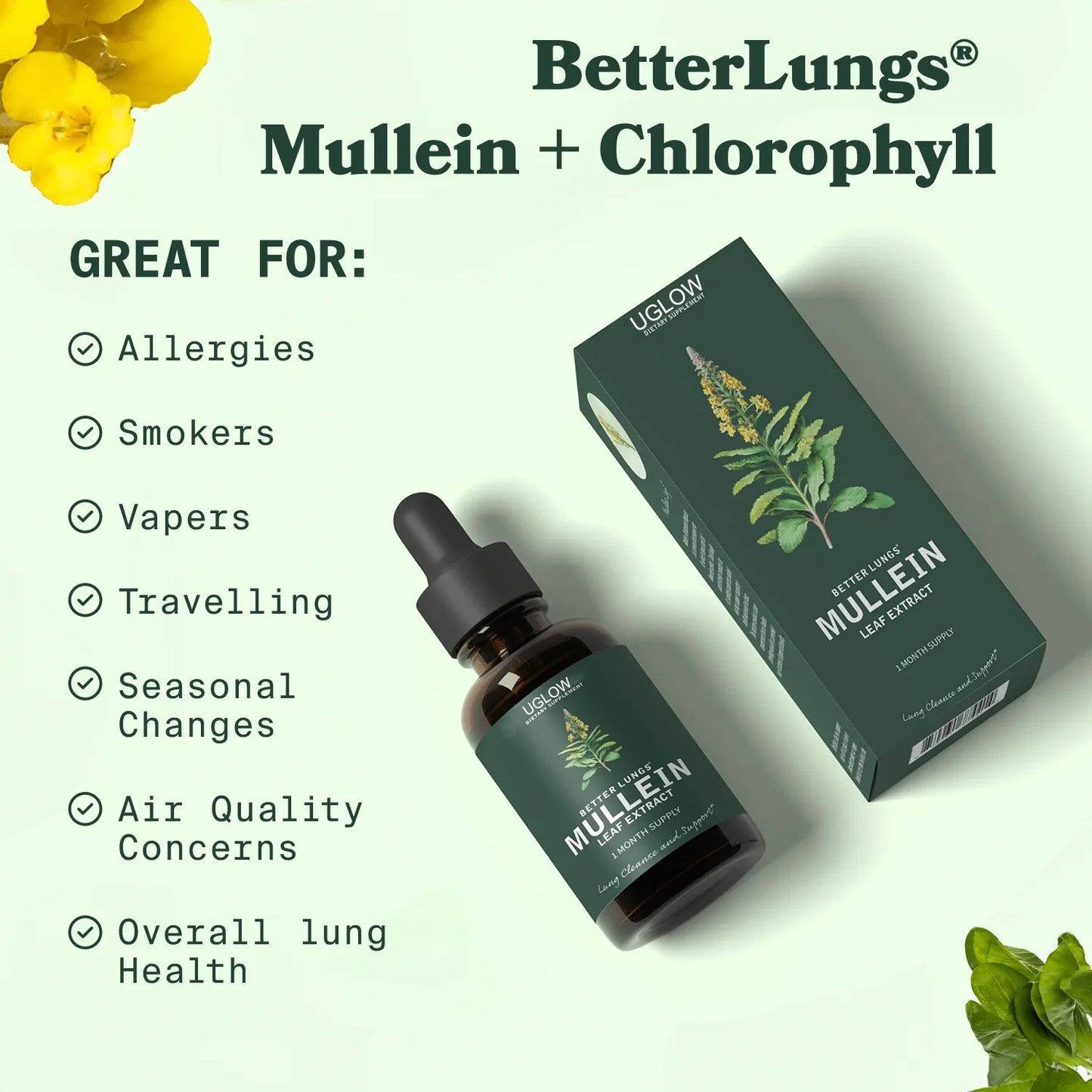 UGlow® Mullein + Chlorophyll